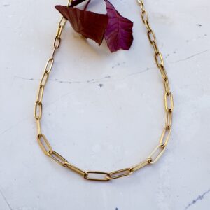 Molly Gold